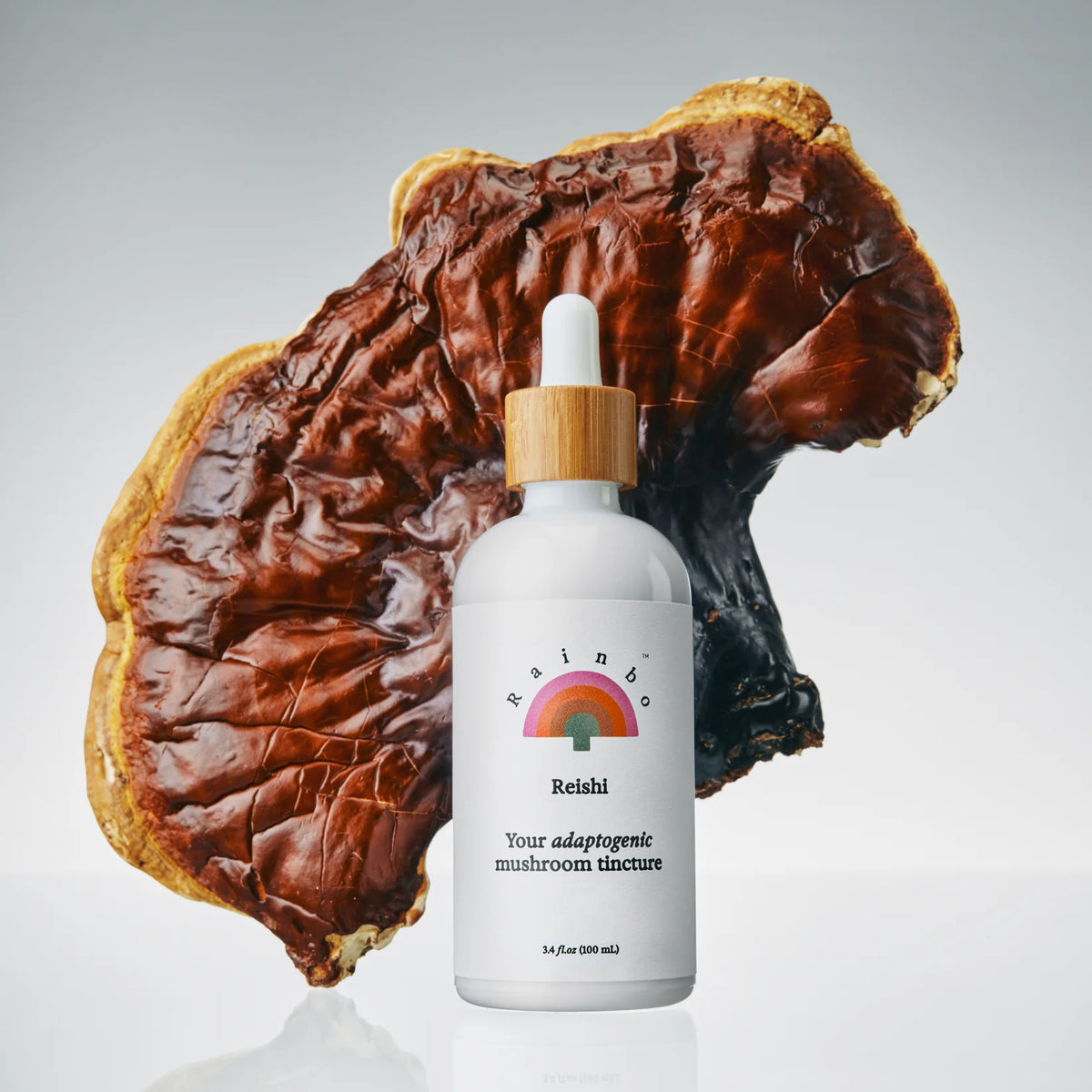 Reishi Mushroom Tincture (100 mL) – Rainbo