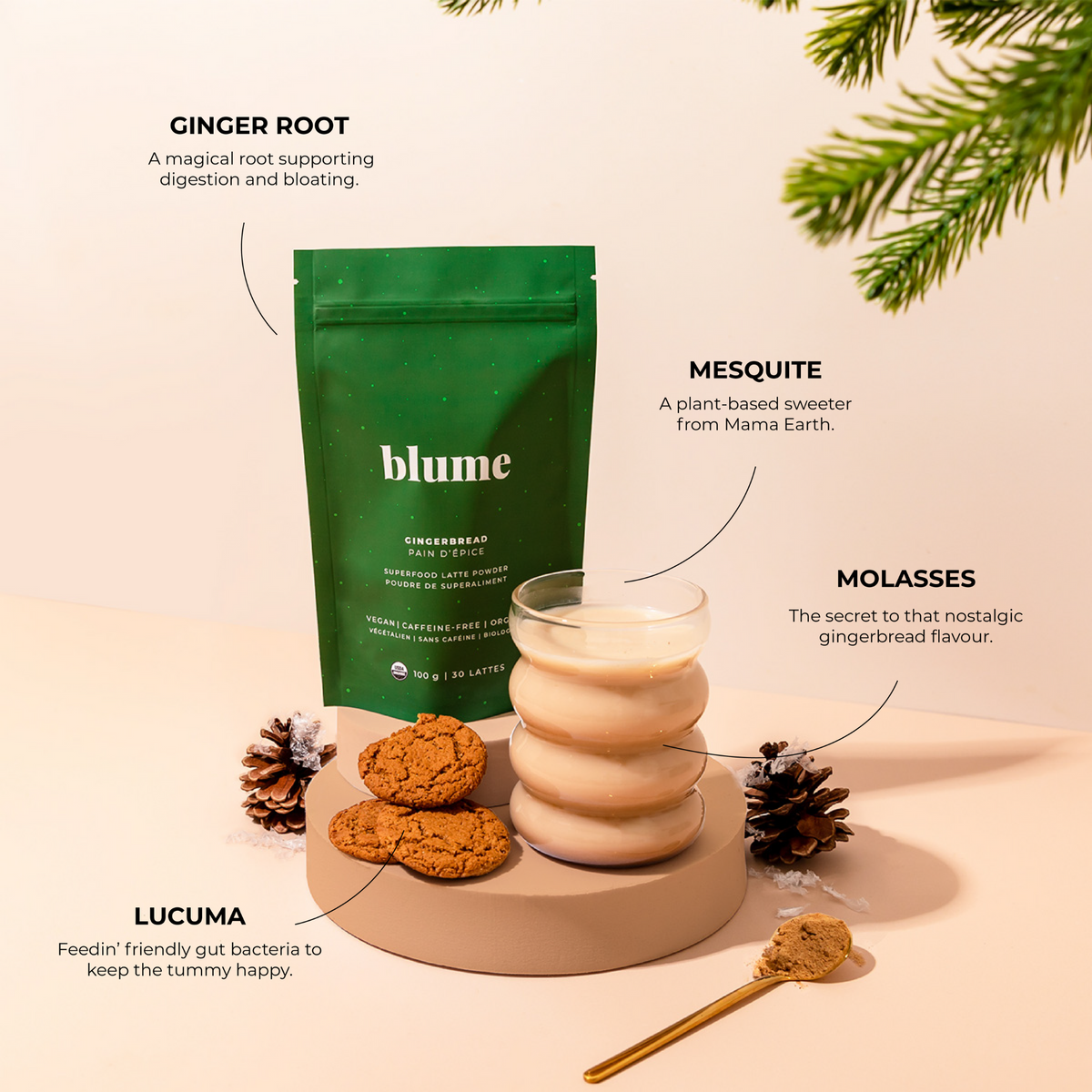 Gingerbread Blend – Blume