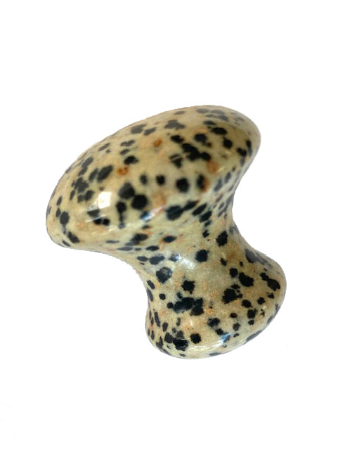 Single Dalmatian stone Tension Tamer mushroom