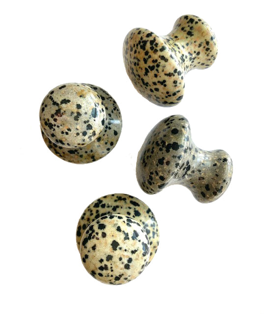 Several Dalmatian Tension Tamer mushrooms showing natural stone variation