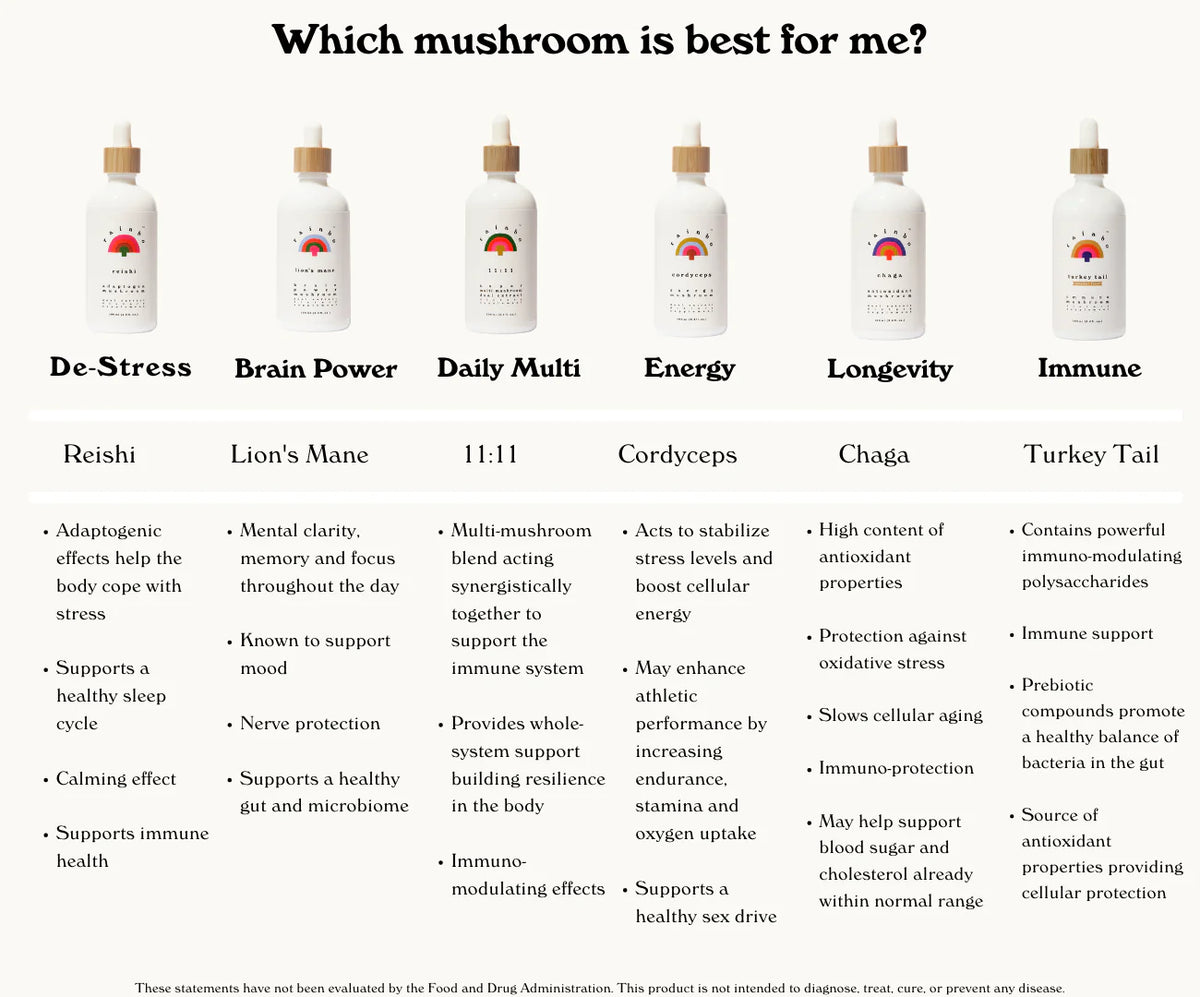 11:11 Multi Mushroom Tincture (100 mL) – Rainbo